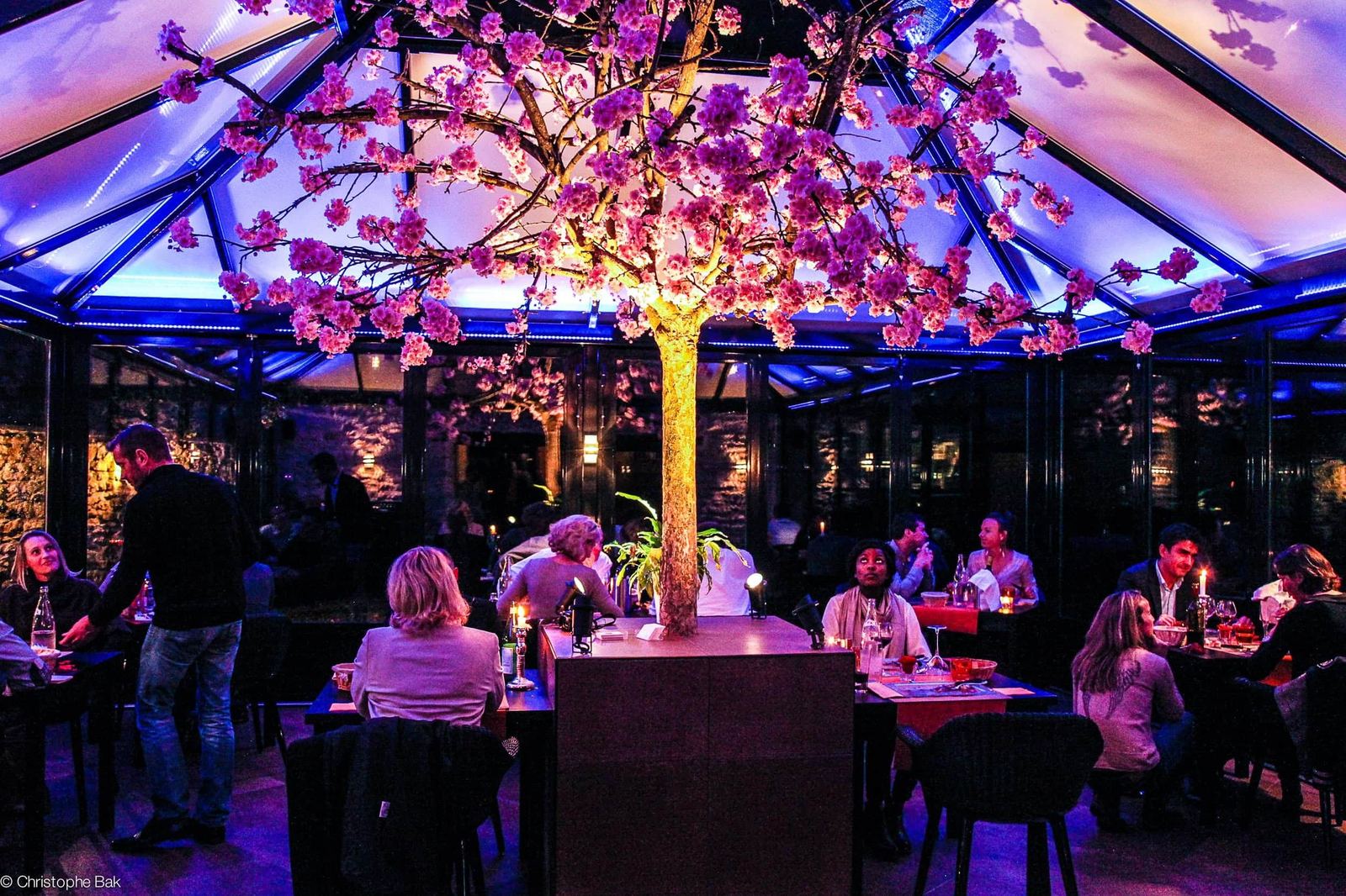 La verrière du restaurant Le Clos des Vignes