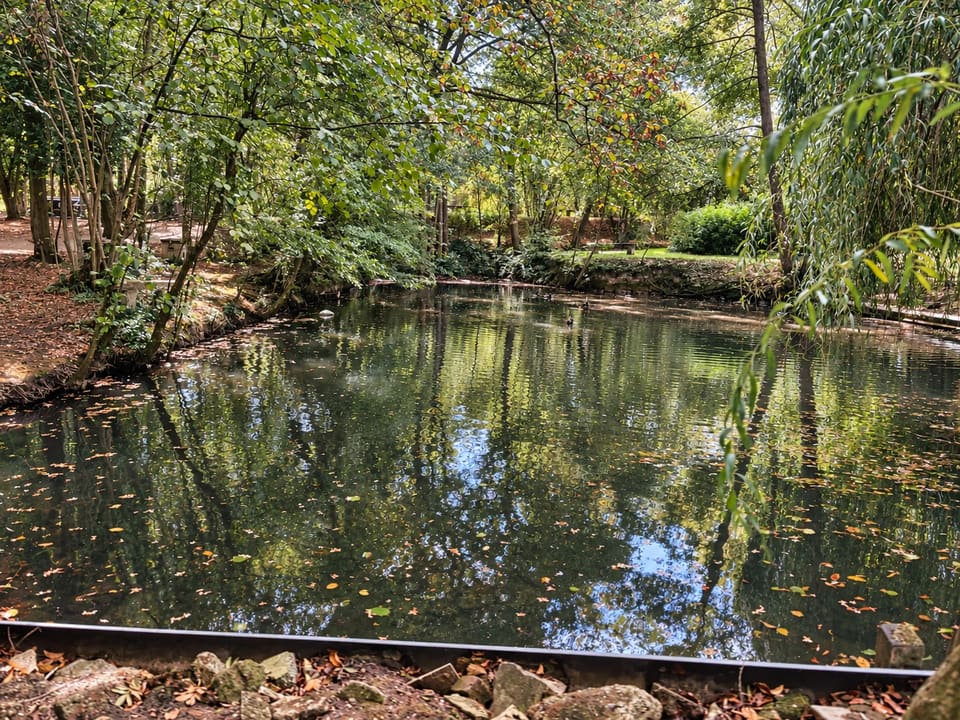 Reflets des arbres dans l’étang du parc du Clos des Vignes, dans l’Oise.
