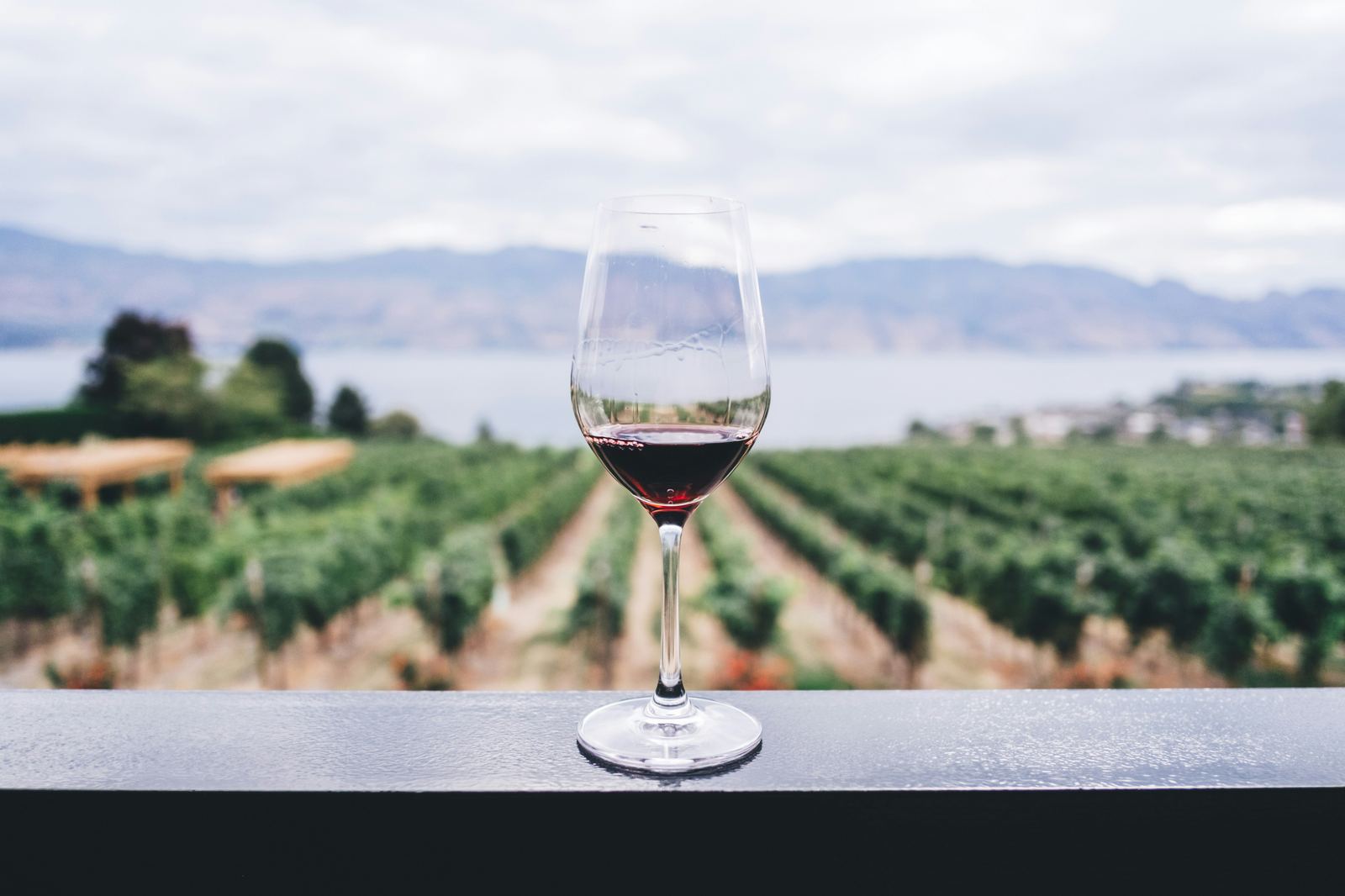 La cave à vins du Clos des Vignes